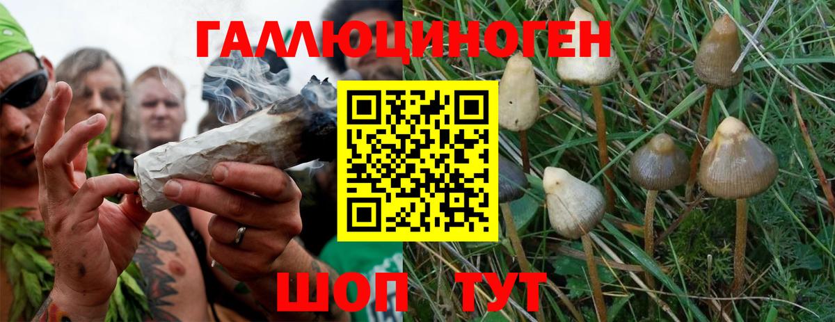 Псилоцибиновые грибы мухоморы  Псилоцибиновые грибы прущие грибы  Вход с VPN  Губкин 